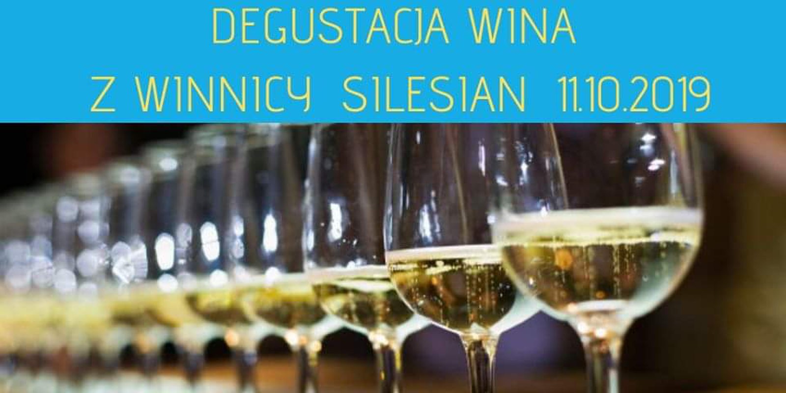 Degustacja win z winnicy Silesian z Bagieńca