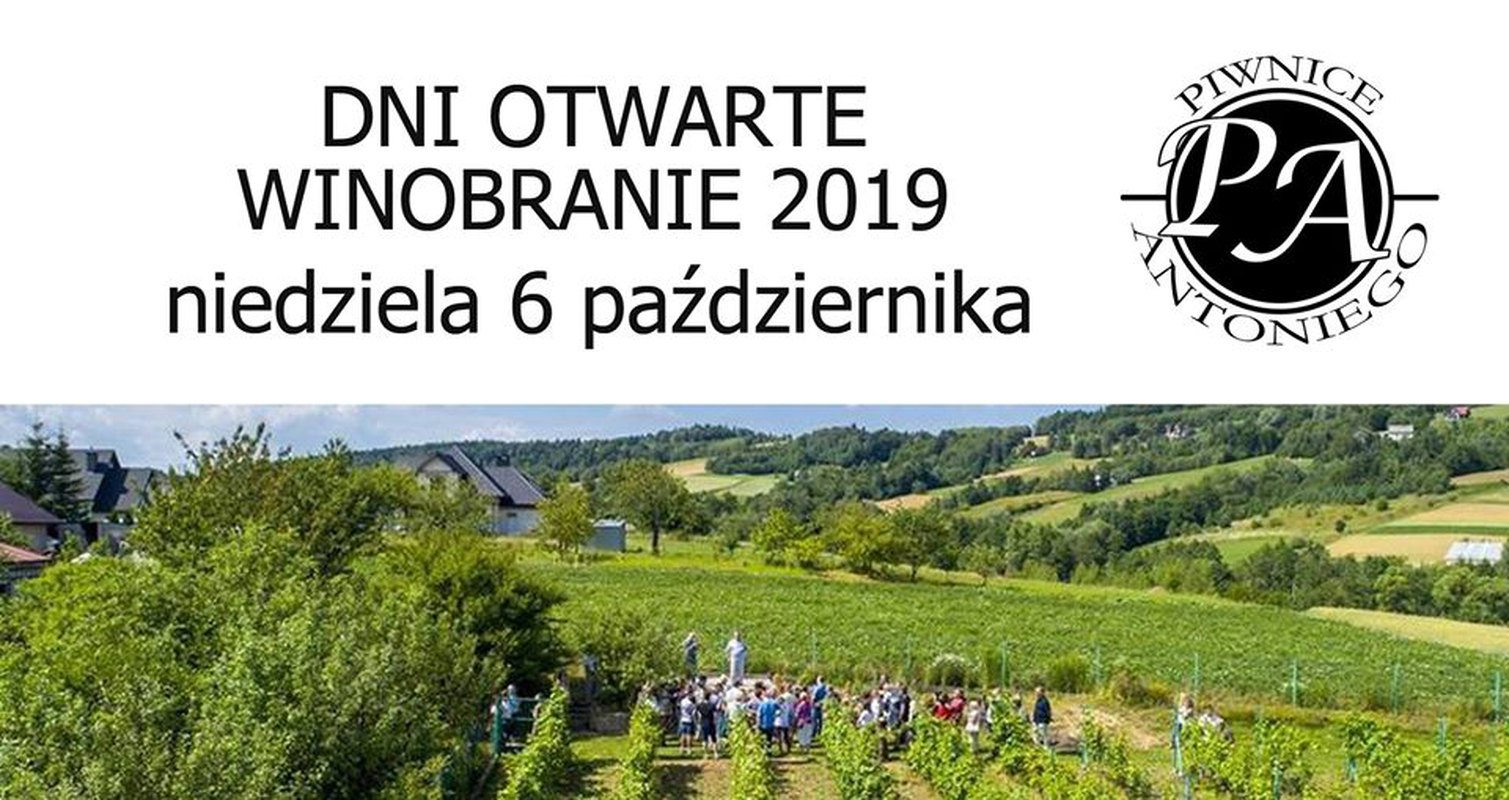 Winobranie 2019 - Piwnice Antoniego